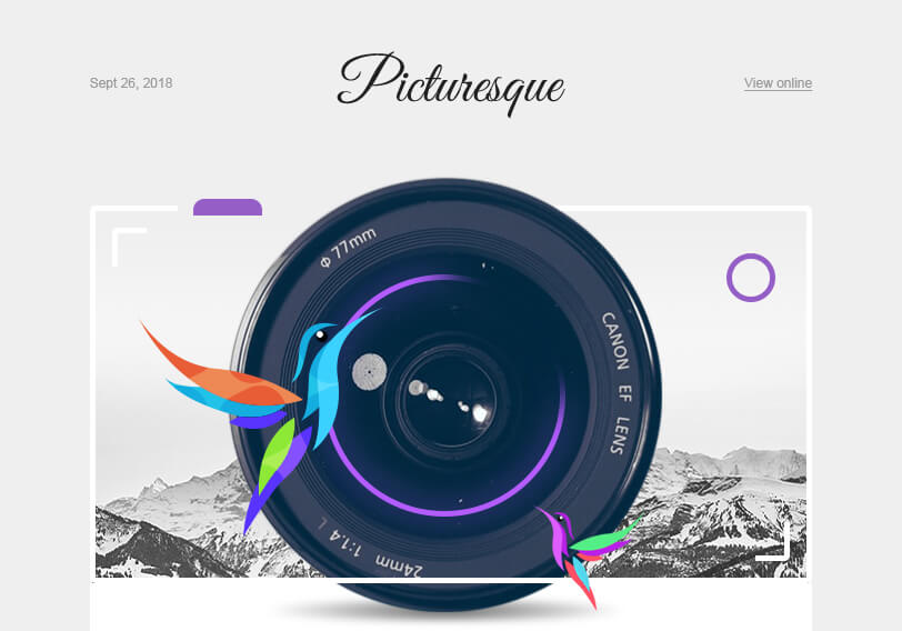 Picturesque - Photography Email Template