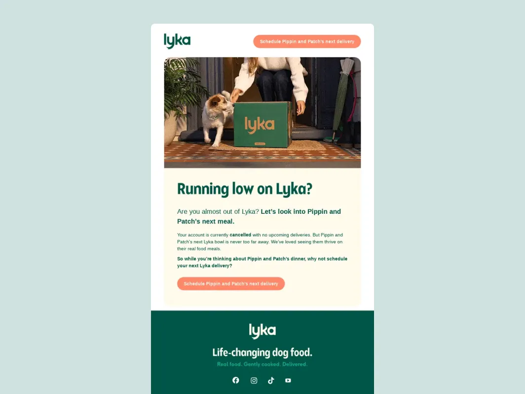 Klaviyo replenishment flow example from Lyka reminding customers to schedule their next dog food delivery.