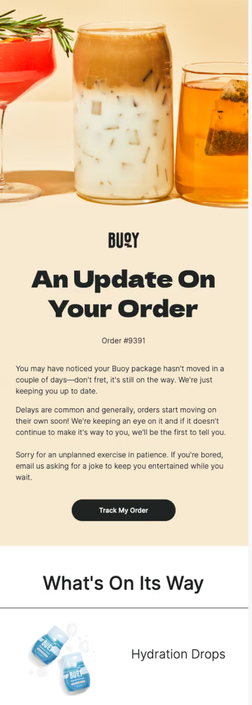 Alt text:
Buoy shipping delay email informing the customer that their package has not moved for several days but is still on the way, with reassurance that the brand is monitoring the shipment, a Track My Order button, and shipped product details.