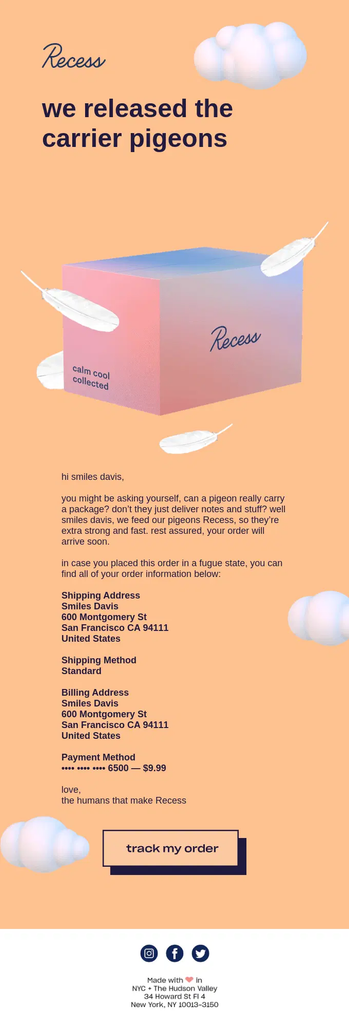 Recess shipping confirmation email with playful carrier pigeon imagery, shipping and billing addresses, shipping method, payment details, and a prominent Track My Order button.