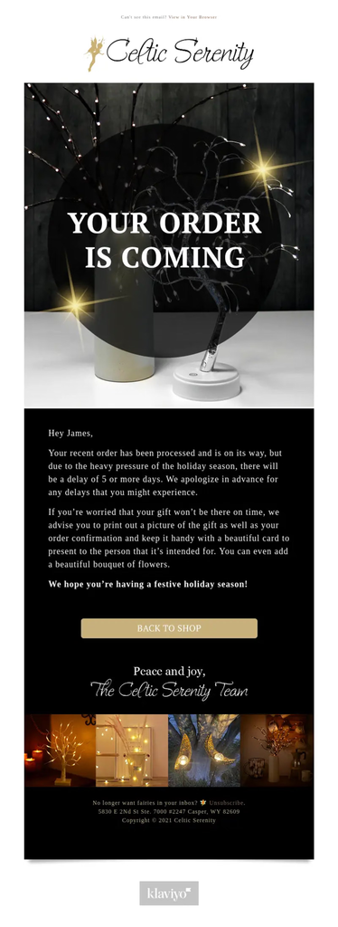 Celtic Serenity shipping delay email informing the customer that their processed order is on the way but may be delayed by five or more days due to holiday-season demand, with an apology, advice for presenting a printed gift confirmation if the package arrives late, and a Back to Shop button.