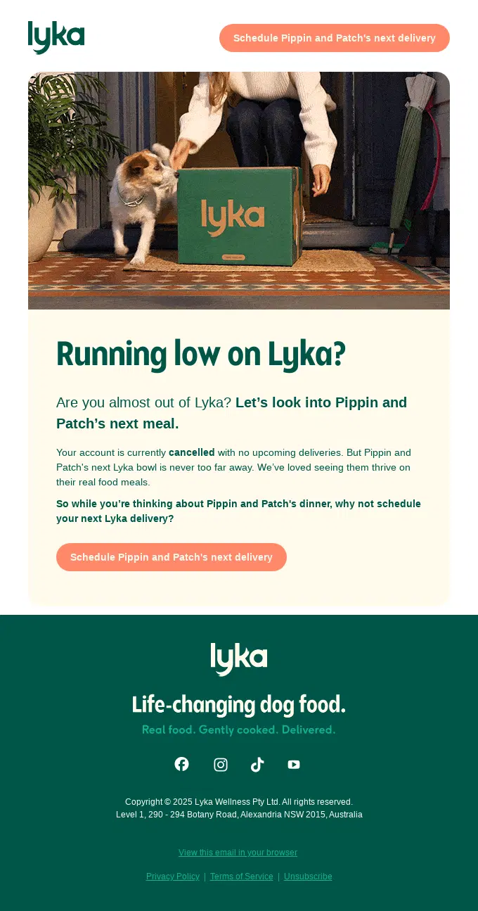 Lyka winback email encouraging a customer with a canceled subscription to schedule their next dog food delivery