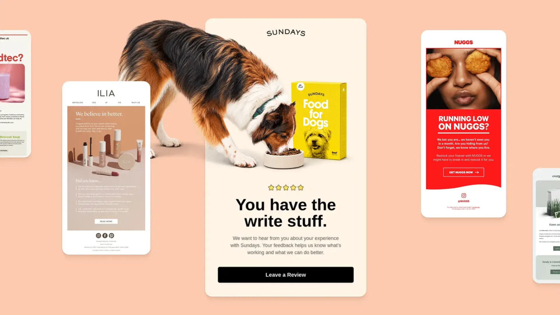 100+ post purchase email examples for thank you, review, cross-sell, loyalty, replenishment, and shipping campaigns